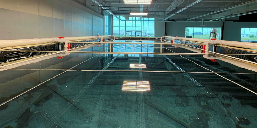 When Midland Company's facility is fully built out, it will have the capacity to produce 80,000 pounds of shrimp annually.