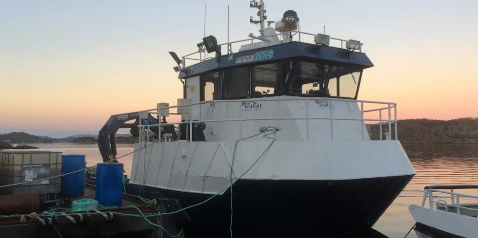 "We are eager to welcome the Marinus team into Froy and look forward to rolling out the new service offering," Froy CEO Tonje Foss said.