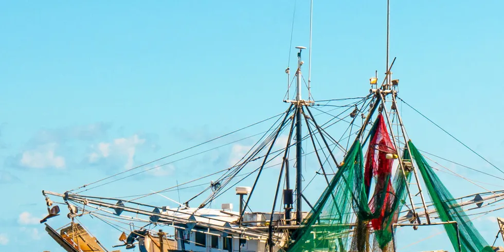 The USDA is seeking shrimp from domestic producers.
