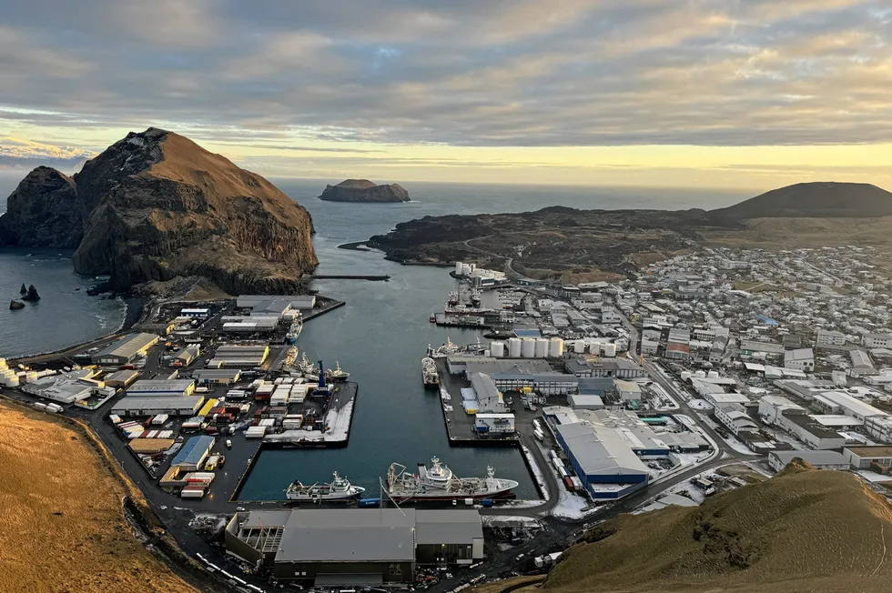 Iceland exported 25,000 metric tons of farmed salmon in the first nine months of 2024, up from 16,000 metric tons a year earlier.