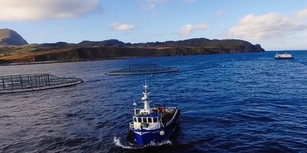 A Mowi Ireland organic salmon farming site.