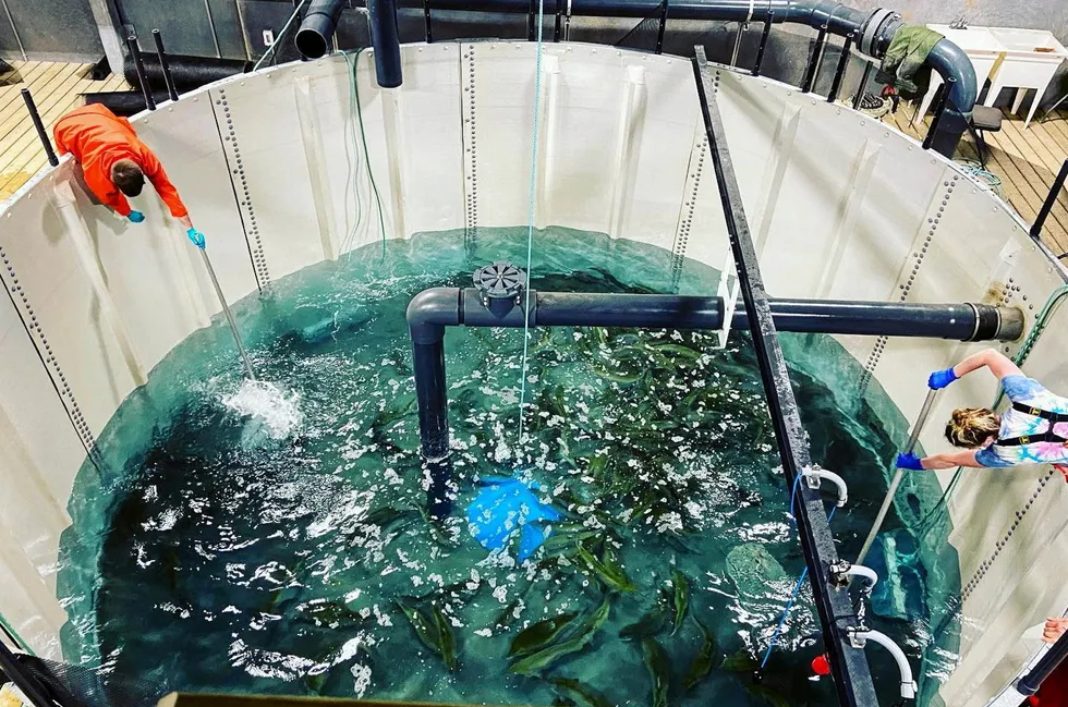 Sustainable Blue runs a zero-discharge recirculating aquaculture system (RAS) facility in Canada's Nova Scotia province.