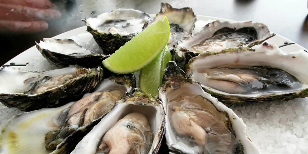 Two Towers will feature oyster beds aiming at recovering the ecosystem