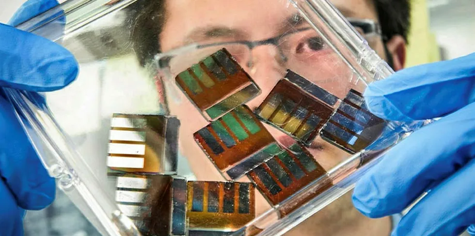 US National Renewable Energy Laboratory researcher Mengjin Yang examines hybrid perovskite solar cells in his lab