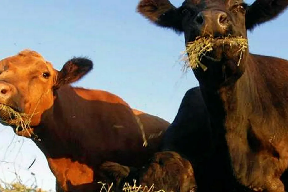 Beefing up: in the Stack