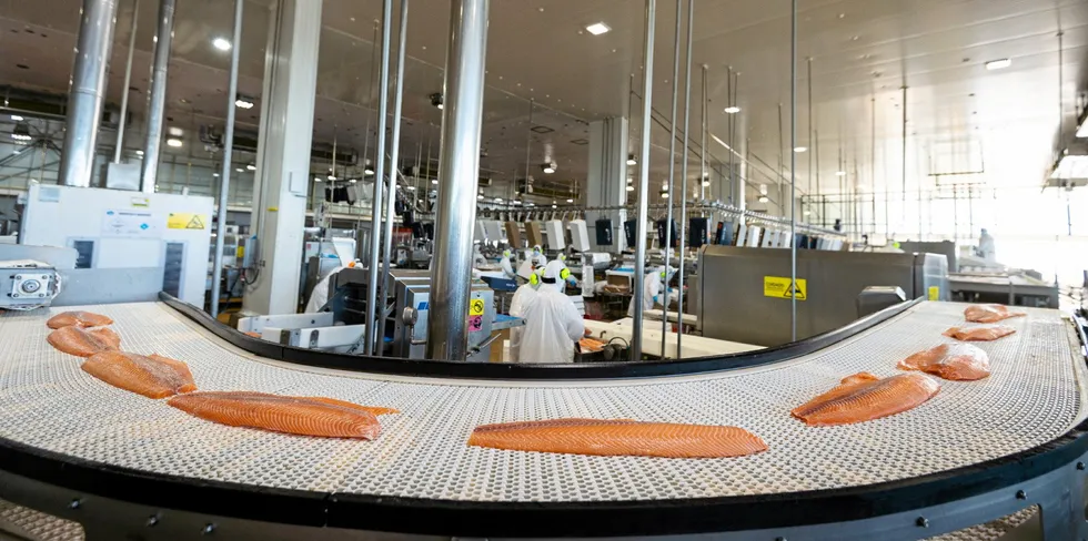 Weaker demand and higher costs drove down earnings for AgroSuper's aquaculture division, which owns AquaChile.