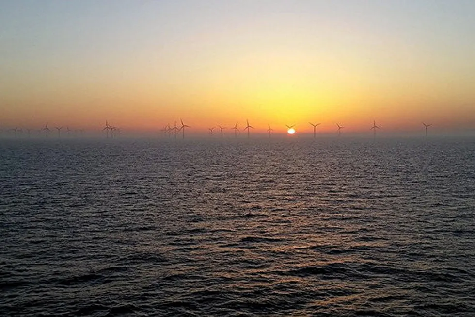 Floating wind expansion: Subsea 7 has acquired a majority stake in Nautilus Floating Solutions