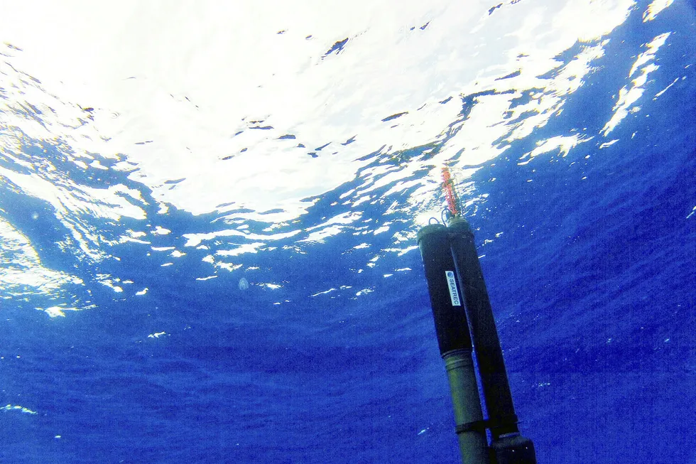 Sea tests: Seatrec's SL1 thermal engine paired with Sea-Bird Scientific's Navis float