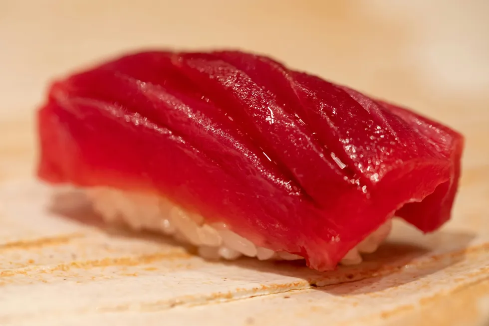 Bluefin tuna, one of the world's most expensive fish.