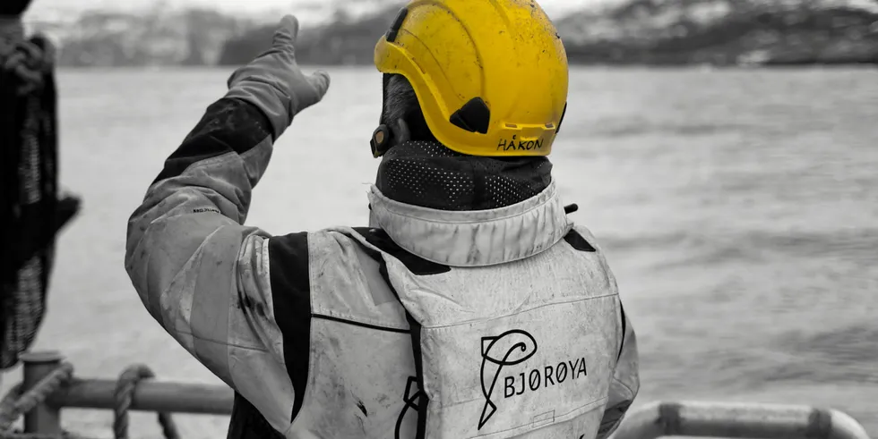 Bjoroya is awaiting confirmation from the analysis to determine whether ISA is present.