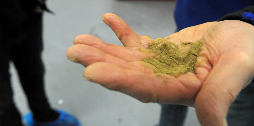 China's taste for fishmeal is expected to continue as demand for seafood grows, pushing up prices.