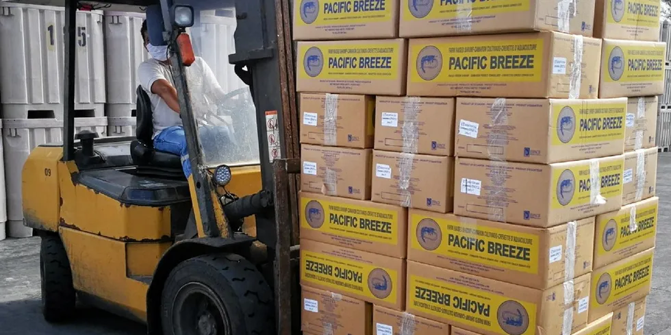 Ecuador continues to topple its out export records.