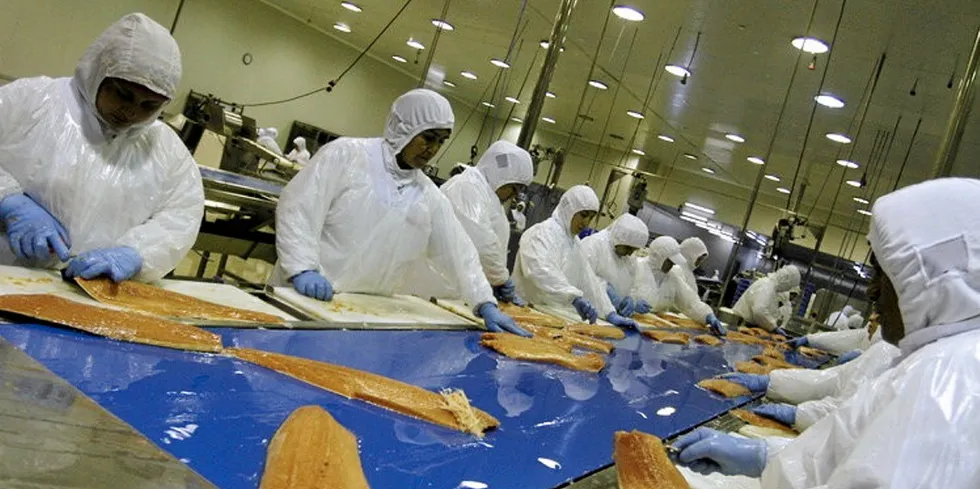 . Chile Salmon Processing Plant.
