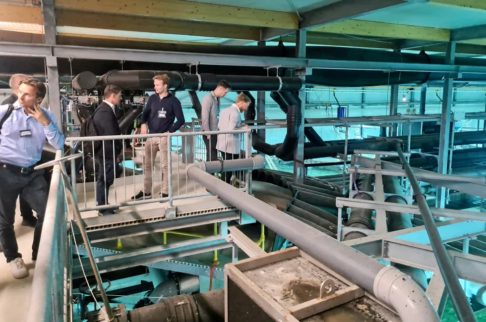 Investors, analysts and bankers visited The Kingfish Company during an investor day in September.