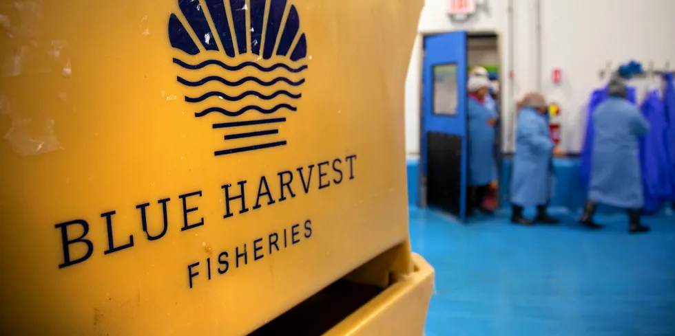 Assets of the once high-flying seafood processor blue harvest are now headed for auction.