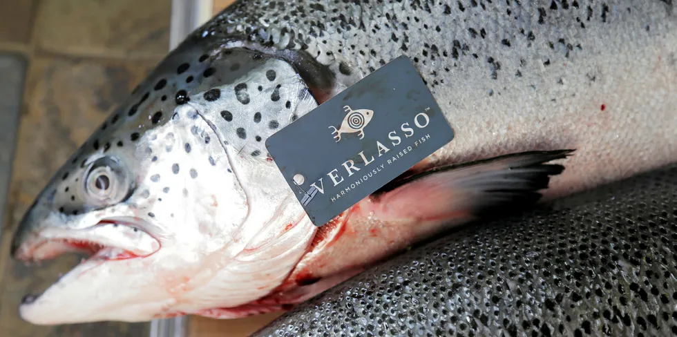 In the fall of 2013, the Verlasso brand of salmon became the first ocean-farmed salmon to make the Seafood Watch program's "yellow list" as a good alternative.