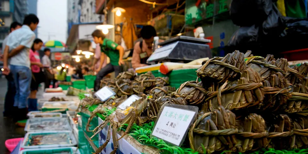 Crabs and other seafood on sale at Huangsha market, Guangzhou.