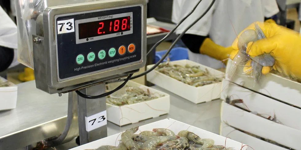 Shrimp deliveries were hindered during more than a week of protests.