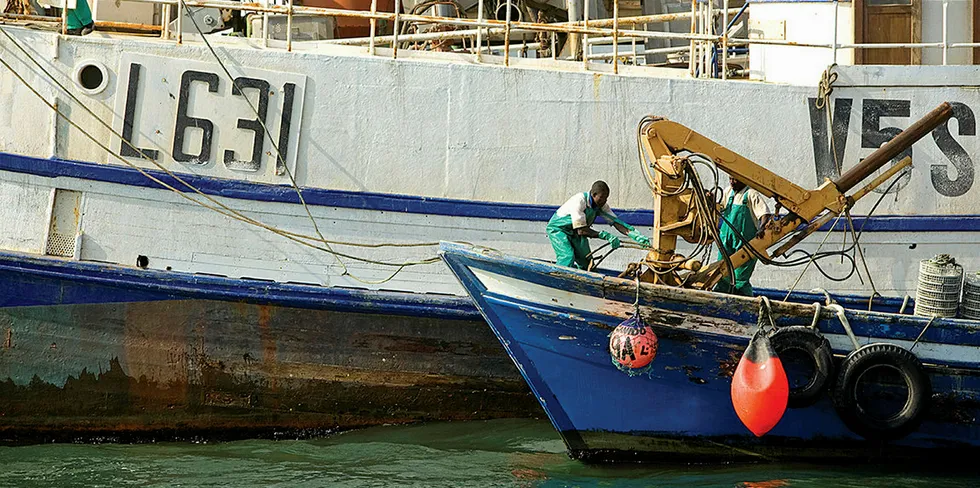 A local publication reported that up to half of allocated quotas may not have been legal.