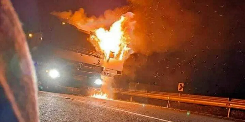 The attacks on trucks carrying farmed salmon smolt in Chile's La Araucania region happened before dawn on Monday.