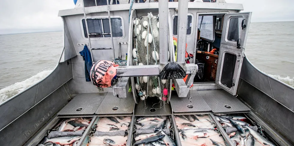 Bristol Bay fishermen are looking at partnering with a new processor for 2023.