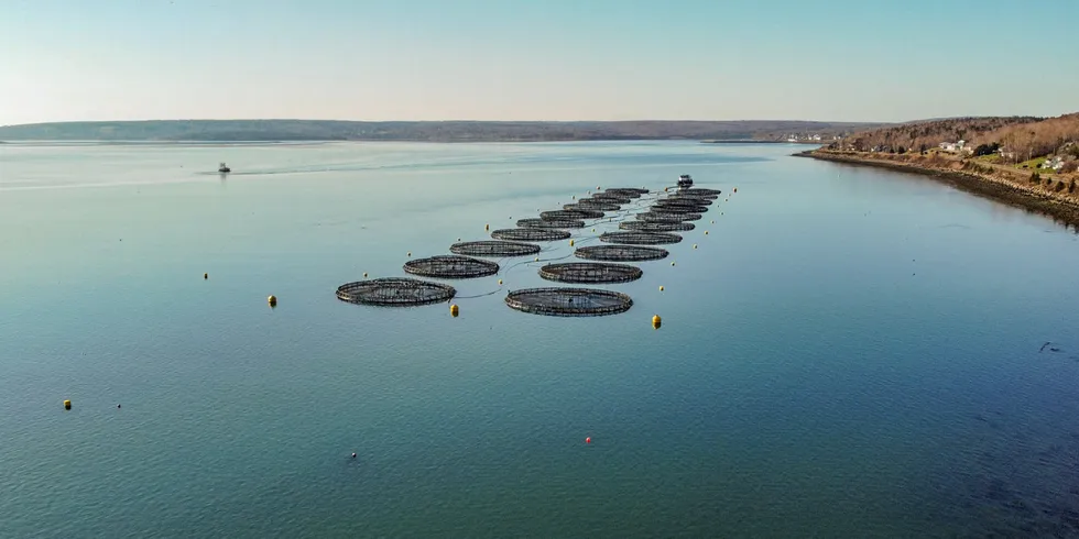 A Cooke Aquaculture salmon farming site in Nova Scotia. The company is facing pushback for plans to expand a lease boundary for an operation on the Mi'kmaq First Nations territory.