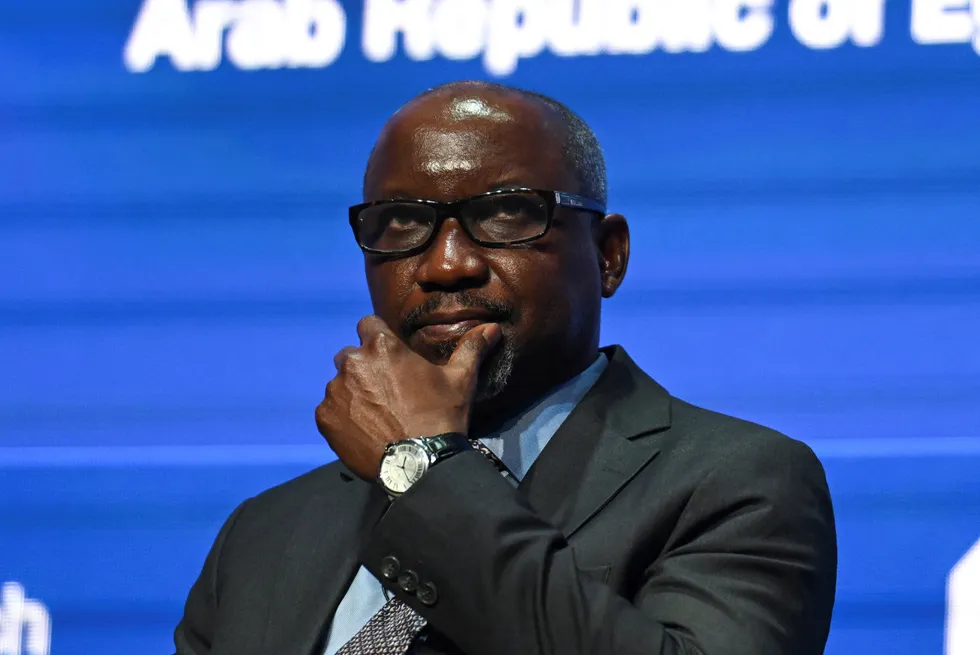 Ekperikpe Ekpo, Nigeria's Minister of State for Petroleum Resources (Gas).