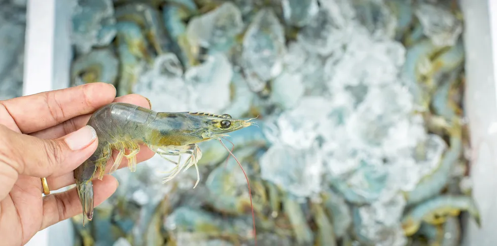 Indian shrimp is entangled in Chinese COVID-19 customs checks.