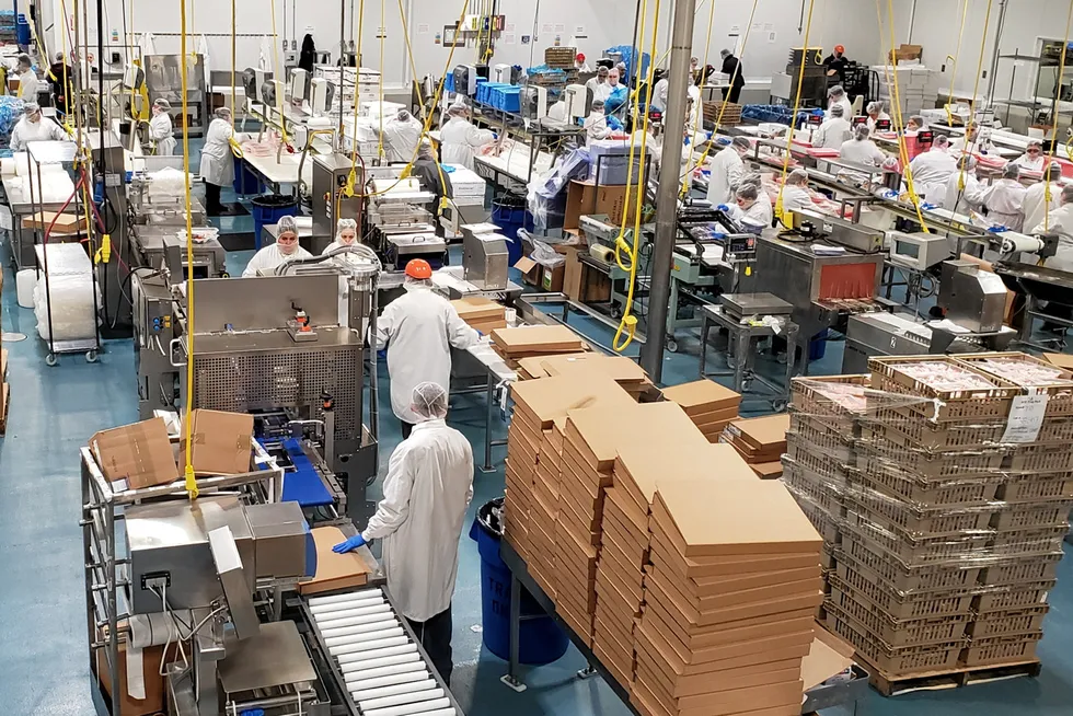A look at the floor of a Southwind Foods packing facility gives you a sense of the challenge of keeping seafood moving from port to customer.