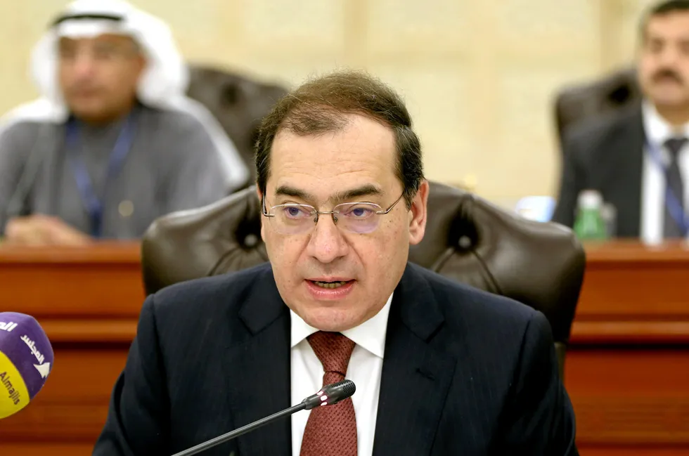 'Realistic' approach: Egypt's Minister of Petroleum & Mineral Resources Tarek El-Molla said the global approach to the energy transition must be 'realistic and doable'