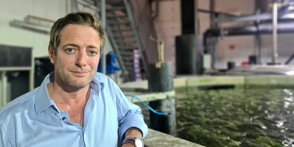 Ohad Maiman is CEO and one of the founders of The Kingfish Company.