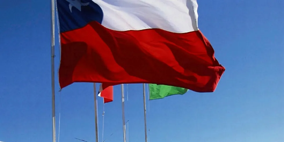 Enel Chile will supply renewable power to Anglo-American