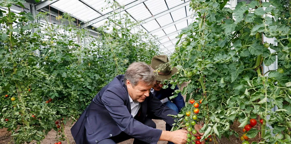 German climate minister Robert Habeck visits agri-PV research center in Rathenow, Germany.
