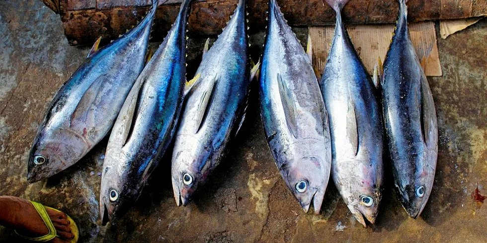 Tuna, fresh in market.