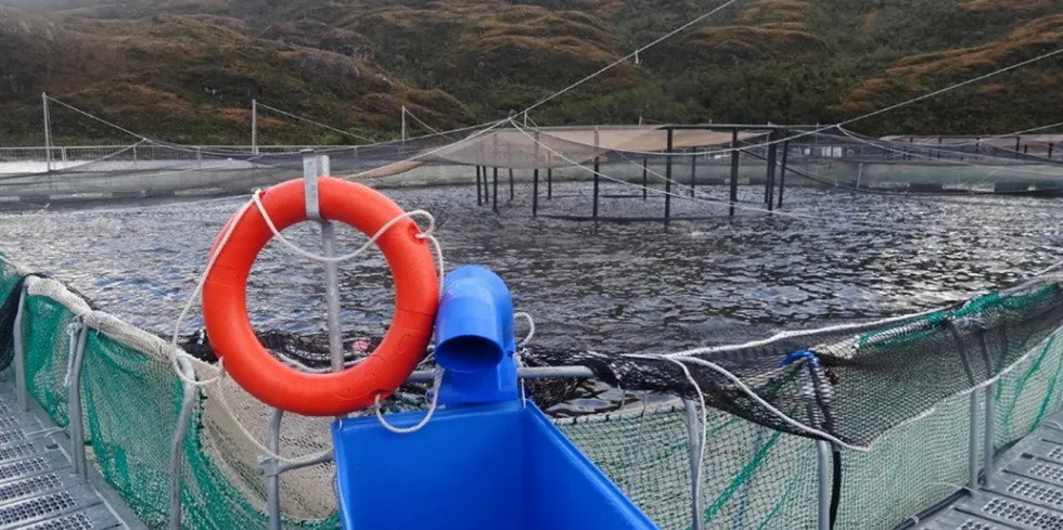 The Australis Seafoods division is facing a list of charges.