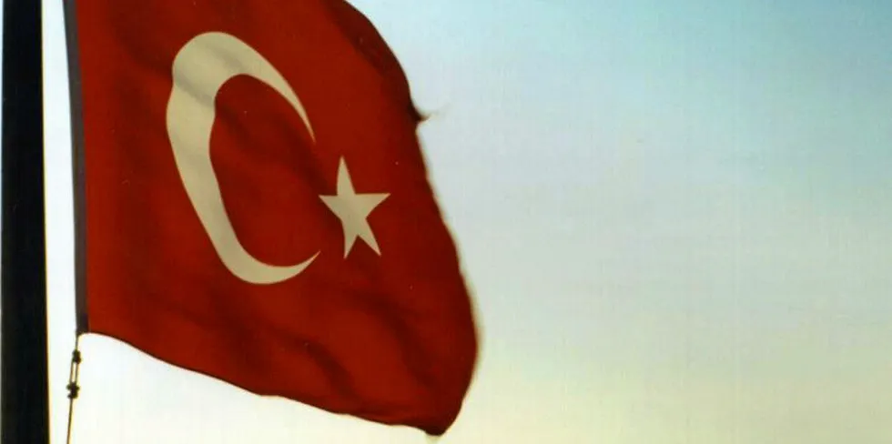 Turkish flag.