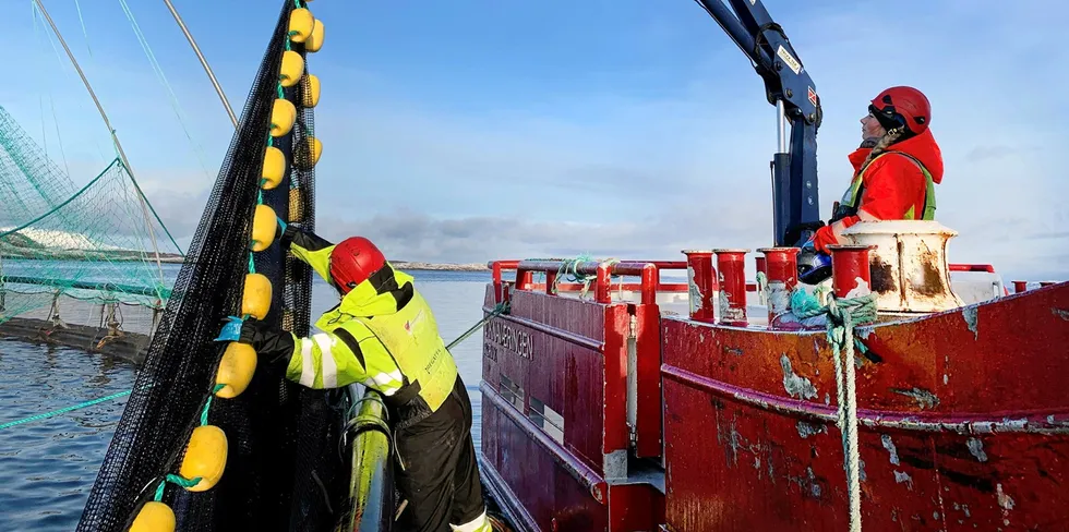 SinkabergHansen is one of Norway's largest private salmon companies with an annual production of around 35,000 metric tons of salmon per year.