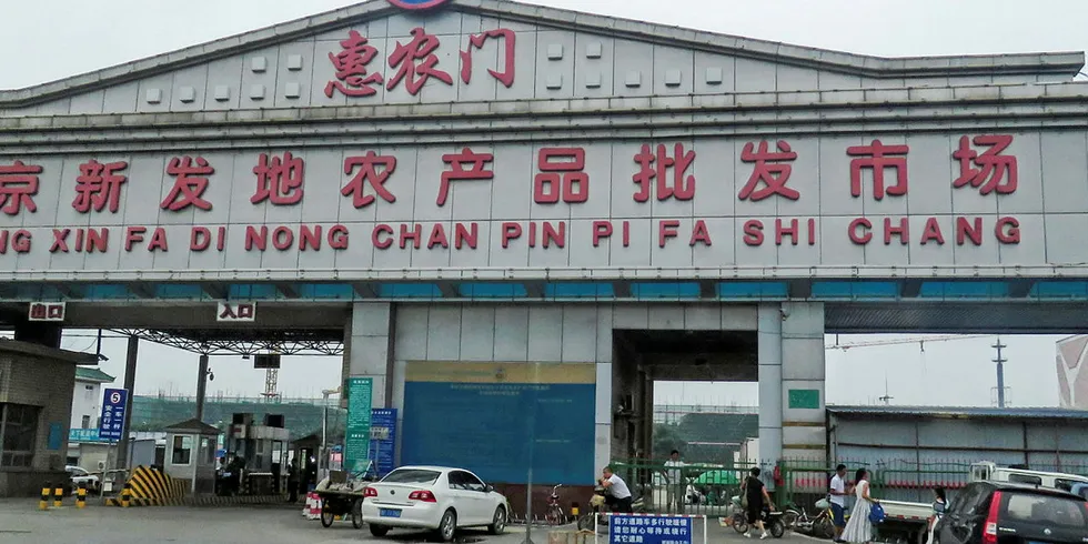 Xinfadi wholesale market, Beijing.