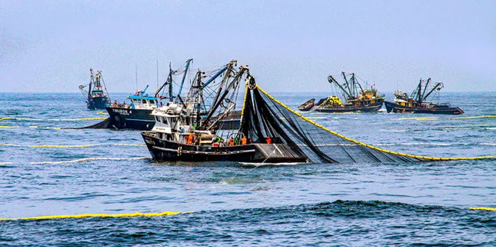 The unions met with representatives from the country's Ministry of Production (Produce) and the Peruvian Marine Institute (Imarpe) on Dec. 27 to request the closure of the second fishing season.