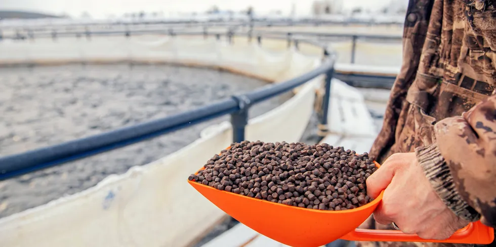 A lack of high-quality feed for Atlantic farmed salmon is limiting the development of Russian aquaculture, a leading industry consultant said.