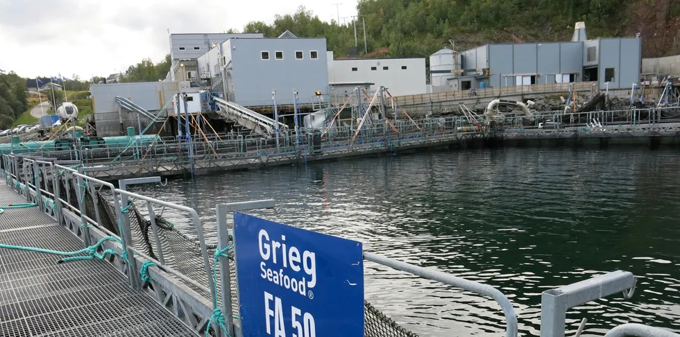On Monday, Finnmark police responded to reports of an "acute contamination" of 15,000 litres of chlorine in the sea at a salmon facility in Alta.