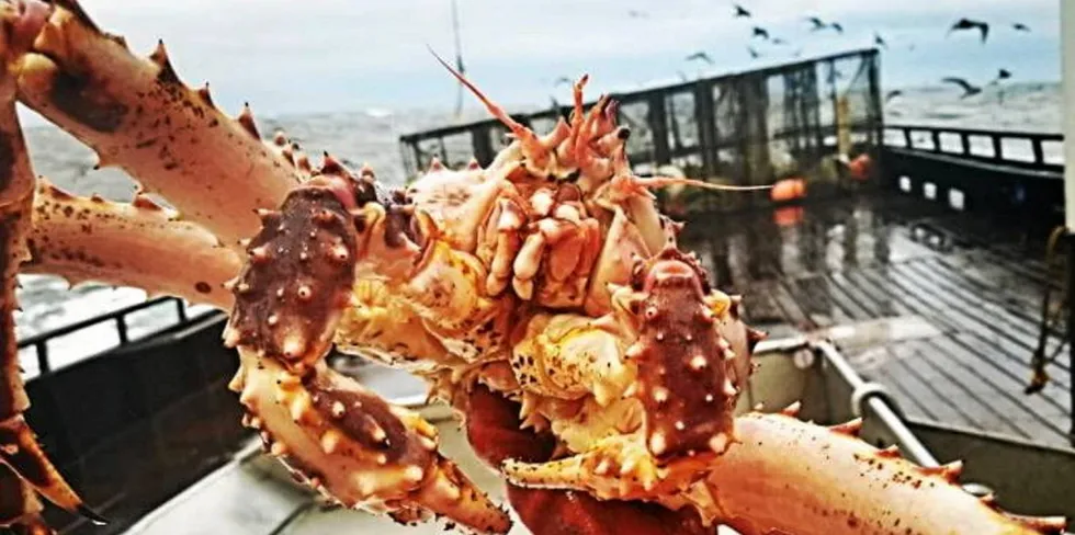 Alaska's iconic Bristol Bay red king crab fishery was closed in 2021 for the first time in over 25 years.