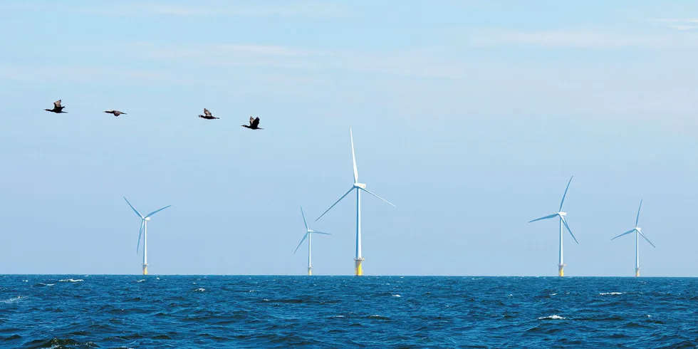 Deep-ocean wind could 'power all humanity': US study