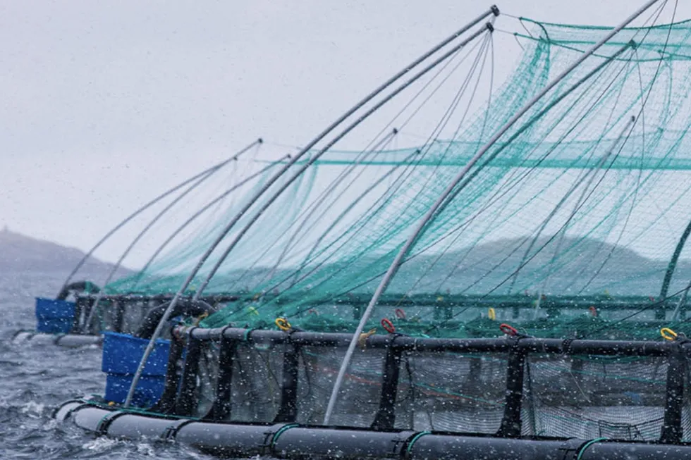 Inarctica is implementing a large-scale vertical integration program for its business, investing in the development of five smolt plants and building its own fish feed production.
