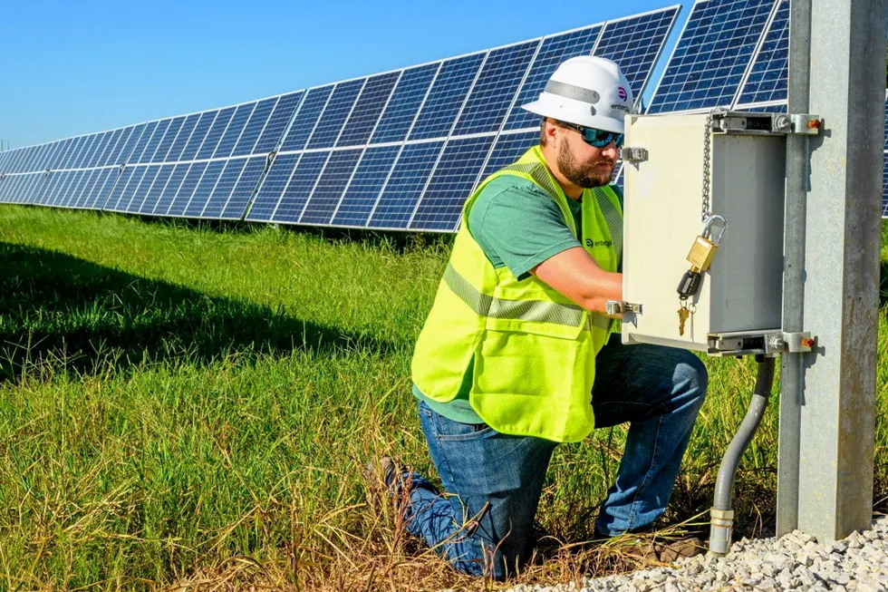A worker at an Entergy solar farm.