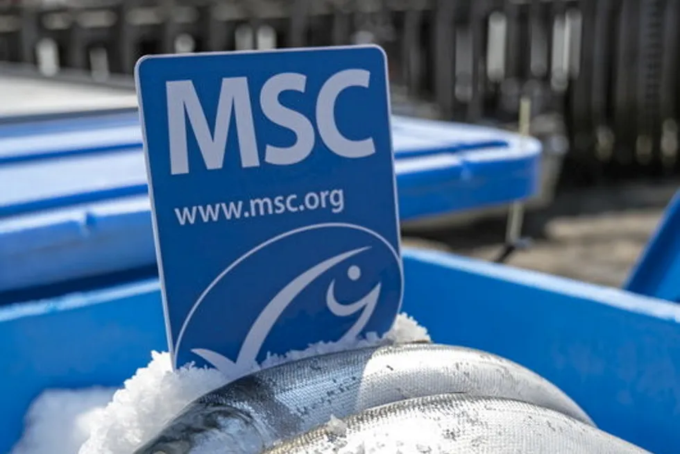 Alaska salmon was the third fishery in the world, and first US fishery, to achieve MSC certification in September 2000.