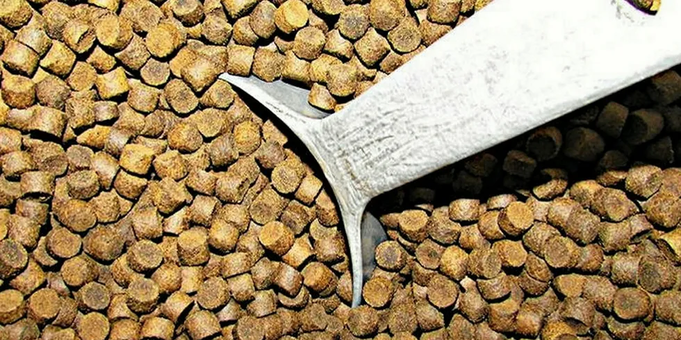 . Fish feed.