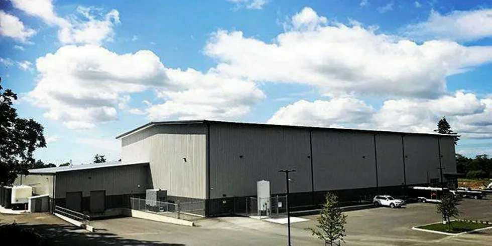 Berezan Shrimp in Canada has closed down temporarily, according to a company executive.