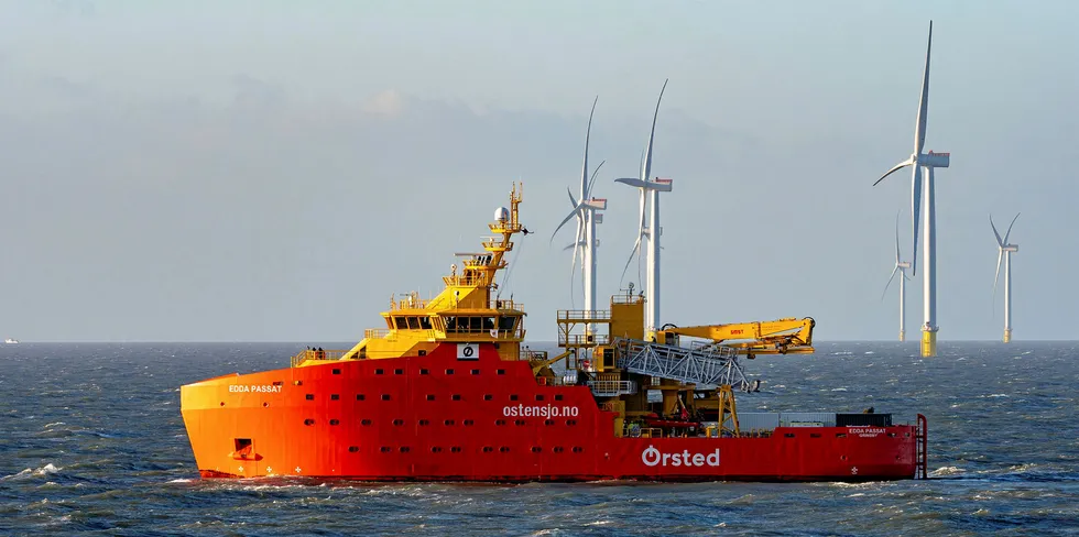 Orsted is in the race for the Dutch award.