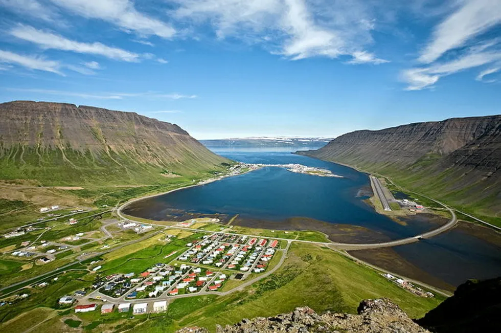 The escape occurred in Nauteyri, near the Isafjarthardjup fjord in the Westfjord area of northwest Iceland (pictured). The image is not related to the incident.